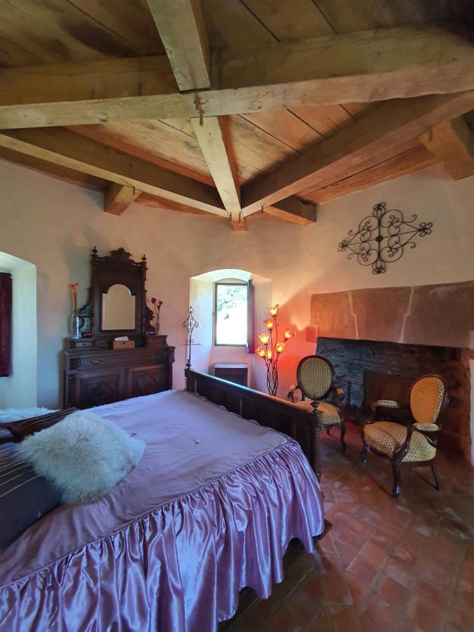Chambre D'Hotes Au Chateau De Belcastel Belcastel  Bagian luar foto