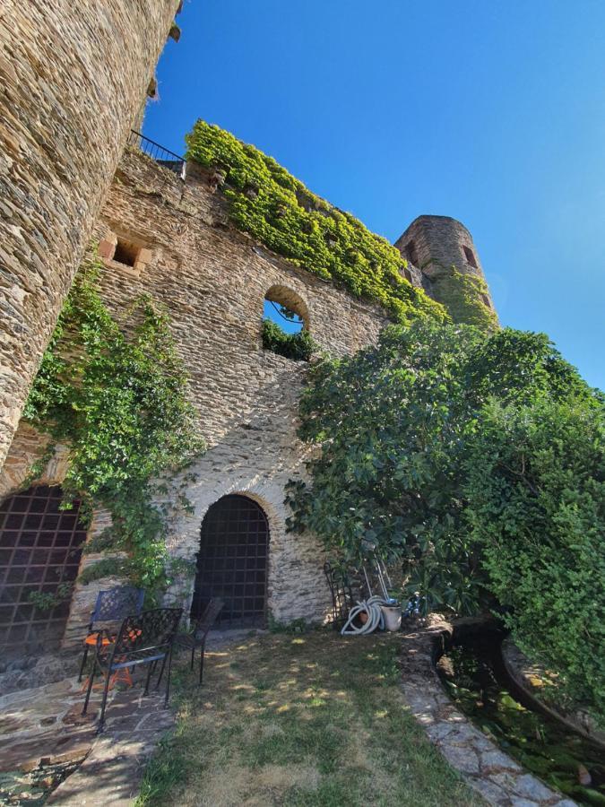 Chambre D'Hotes Au Chateau De Belcastel Belcastel  Bagian luar foto
