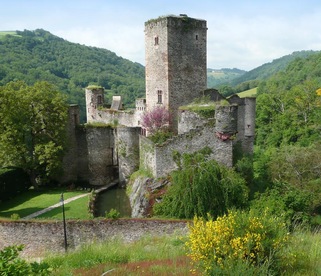 Chambre D'Hotes Au Chateau De Belcastel Belcastel  Bagian luar foto